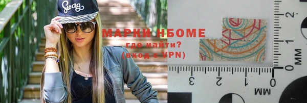 гашик Алексин