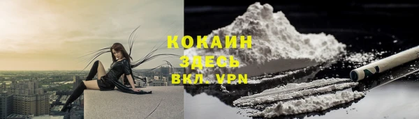 соль ск Абаза