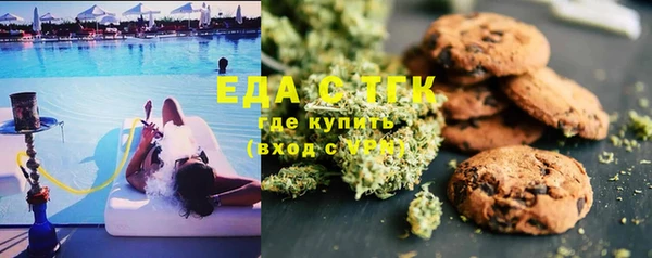 гашик Алексин