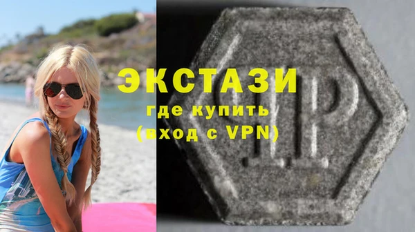 гашик Алексин