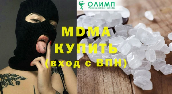 гашик Алексин